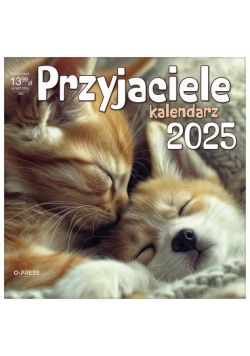 Kalendarz 2025 Przyjaciele ścienny