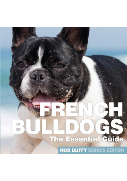 French Bulldogs