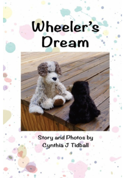 Wheeler's Dream