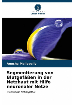 Segmentierung von Blutgefäßen in der Netzhaut mit Hilfe neuronaler Netze