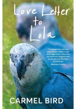 Love Letter to Lola