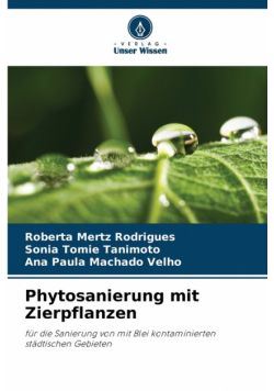 Phytosanierung mit Zierpflanzen