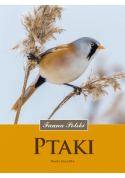 Ptaki Fauna Polski