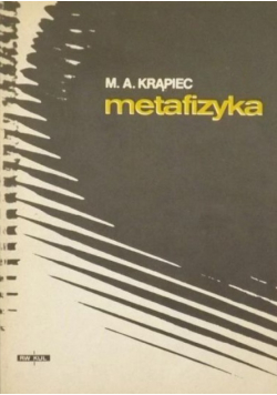 Metafizyka