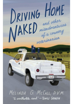 Driving Home Naked
