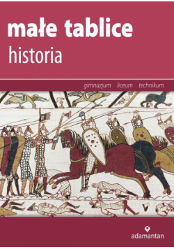 Małe tablice Historia 2016