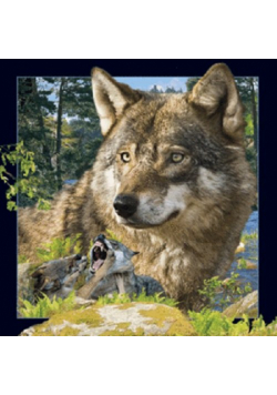 Magnes 3D - Wilk