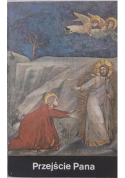Przejście Pana