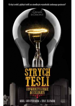 Strych Tesli Stowarzyszenie Accelerati
