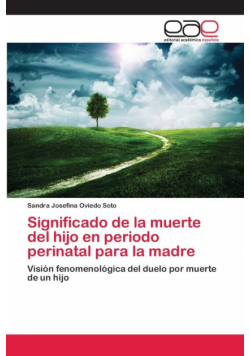 Significado de la muerte del hijo en periodo perinatal para la madre