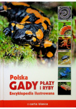Polska gady płazy i ryby Encyklopedia ilustrowana