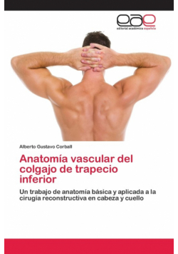 Anatomía vascular del colgajo de trapecio inferior