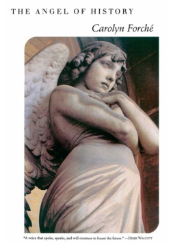 Angel of History, The