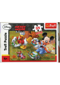 Puzzle mini 54 Miki