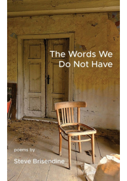 The Words We Do Not Have