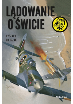 Lądowanie o świcie