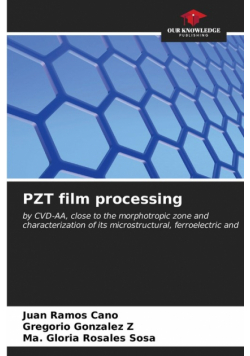 PZT film processing