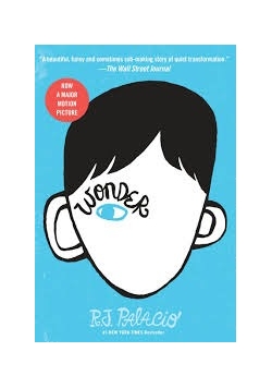 Wonder