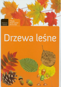 Drzewa leśne