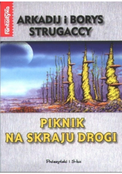 Piknik na skraju drogi