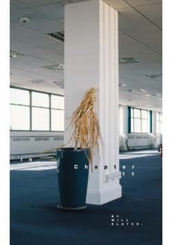 In Chapter 11
