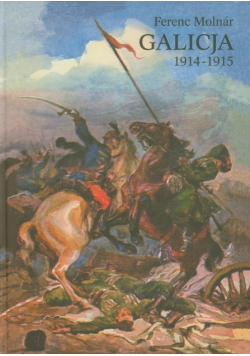Galicja 1914 - 1915