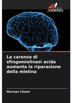 La carenza di sfingomielinasi acida aumenta la riparazione della mielina