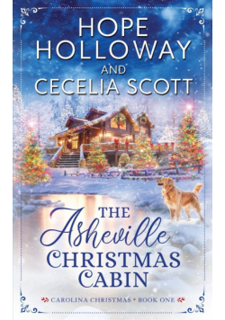 The Asheville Christmas Cabin