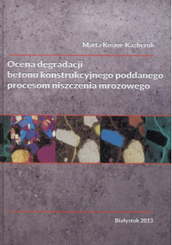 Ocena degradacji betonu konstrukcyjnego poddanego procesom niszczenia mrozowego