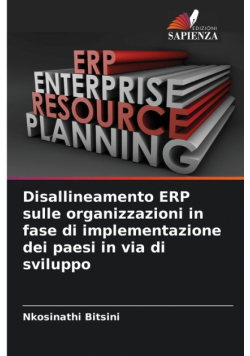 Disallineamento ERP sulle organizzazioni in fase di implementazione dei paesi in via di sviluppo