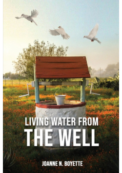 Living Water from the Well