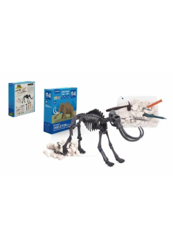 Wykopaliska dinozaury szkielet T-Rex