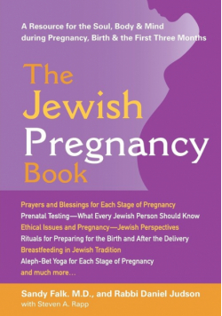 The Jewish Pregnancy Book
