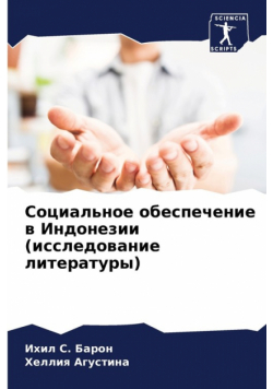 Социальное обеспечение в Индонезии (исследование литературы)