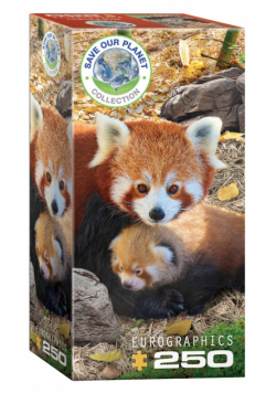 Puzzle 250 Red Pandas 8251-5557