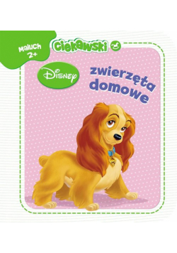 Ciekawski maluch Zwierzęta domowe
