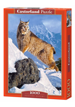 Puzzle Austere Ascent 1000