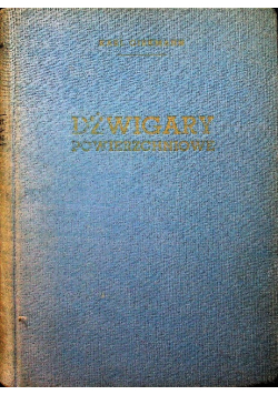 Dźwigary powierzchniowe