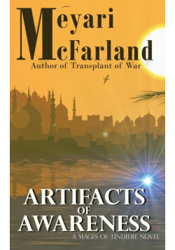 Artifacts of Awareness