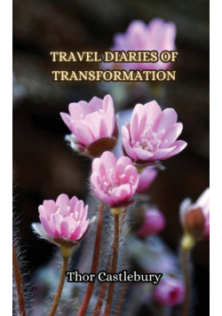 Travel Diaries of Transformation