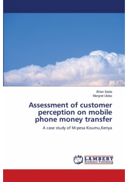 Assessment of customer perception on mobile phone money transfer