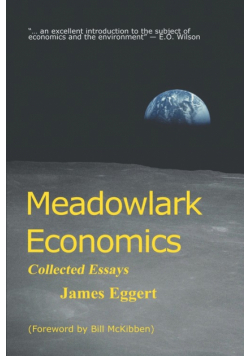 Meadowlark Economics