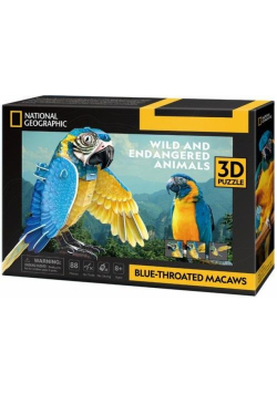 Puzzle 3d National Geographic Ara Szafirowa