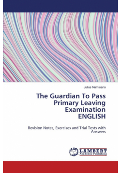 The Guardian To Pass Primary Leaving Examination ENGLISH