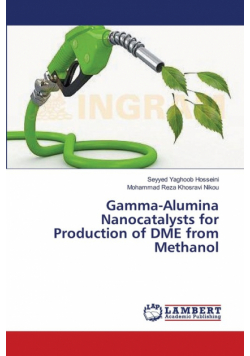 Gamma-Alumina Nanocatalysts for Production of DME from Methanol
