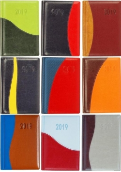 Terminarz 2019 A5 dzienny K2 registry MIX BESKIDY