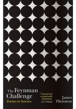The Feynman Challenge