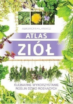 Atlas ziół Kulinarne wykorzystanie roślin dziko rosnących