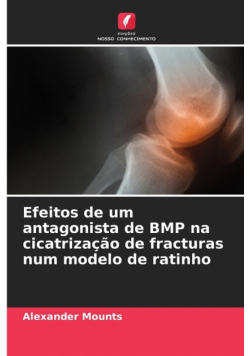 Efeitos de um antagonista de BMP na cicatrização de fracturas num modelo de ratinho