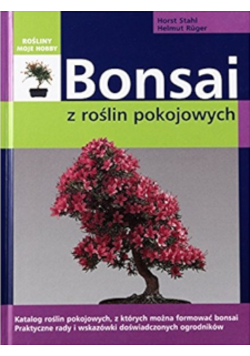 Bonsai z roślin pokojowych